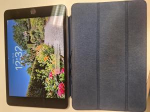 Ipad Rif_24745